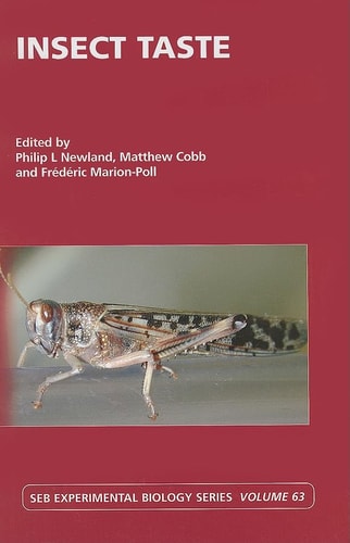 Insect Taste