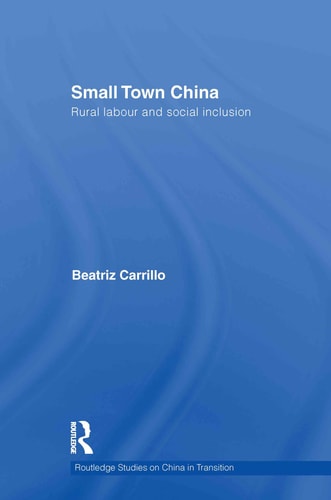 Small Town China Rural Labour and Social Inclusion