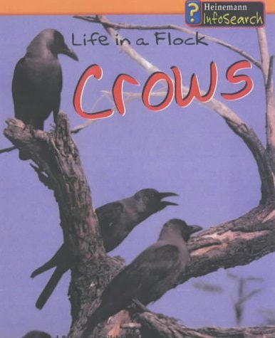 Life in a Flock Crows