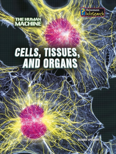 Edition published by Heinemann Library