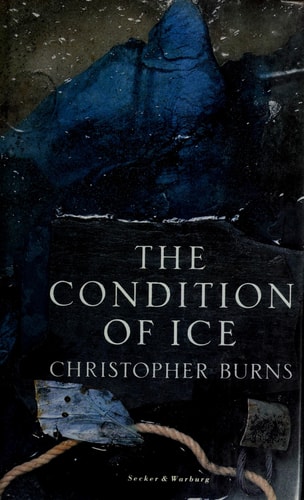 The Condition of Ice