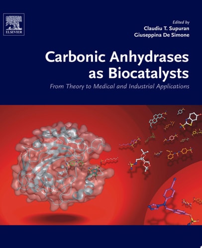 Carbonic Anhydrases as Biocatalysts From Theory to Medical and Industrial Applications