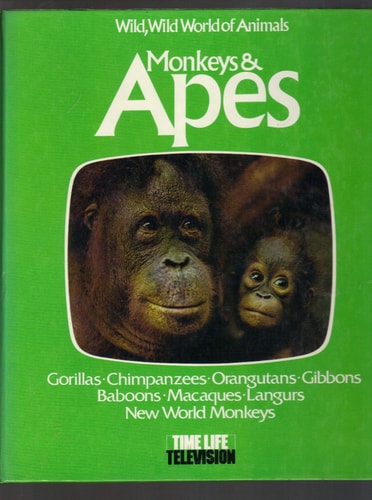 Monkeys and Apes