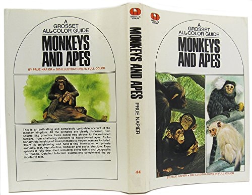 Monkeys and Apes