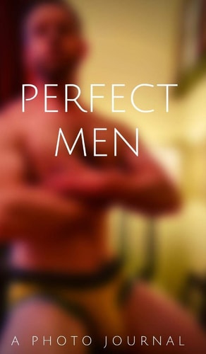 Perfect Man