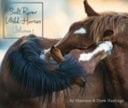 Salt River Wild Horses