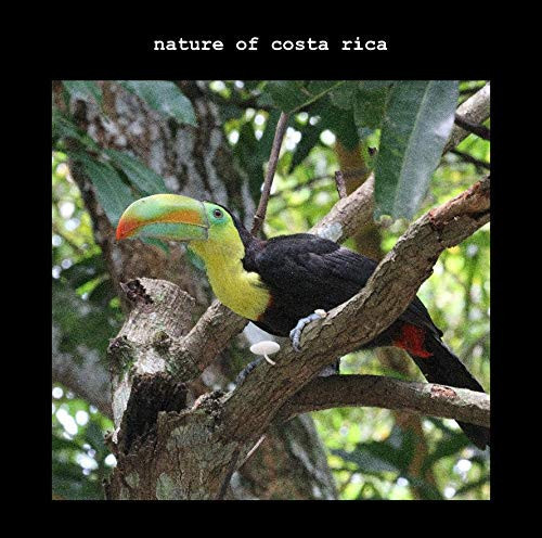 Nature of Costa Rica