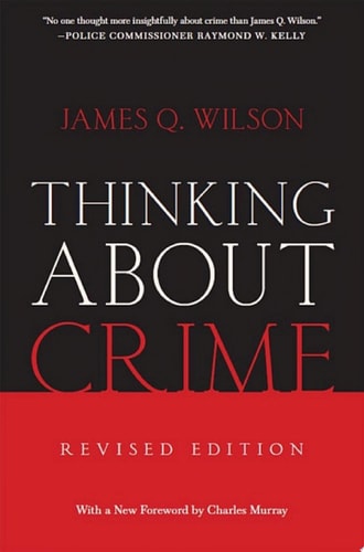 Thinking About Crime