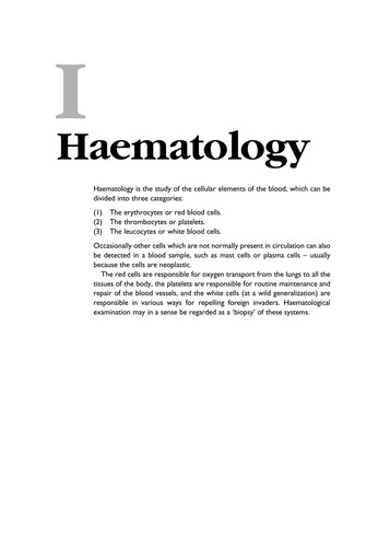 Veterinary Laboratory Medicine : Clinical Biochemistry and Haematology