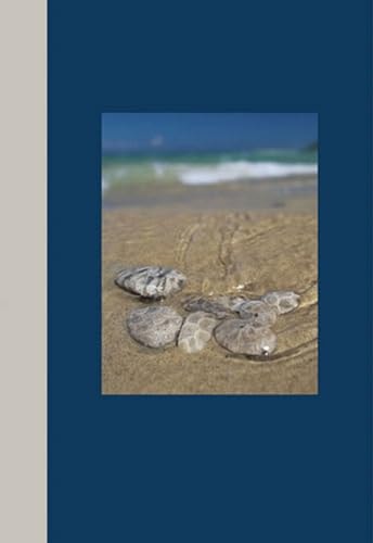Michigan Journals--Petoskey Stones