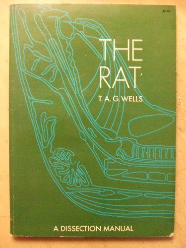 The Rat
