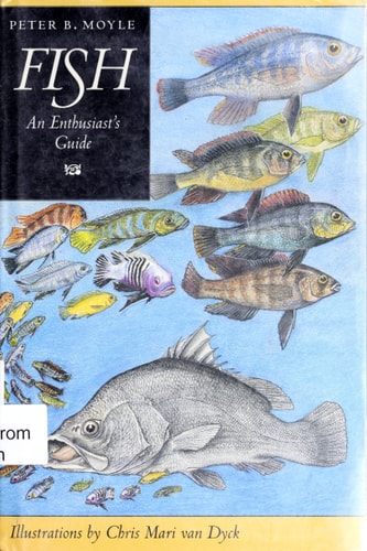 Fish: An Enthusiast's Guide