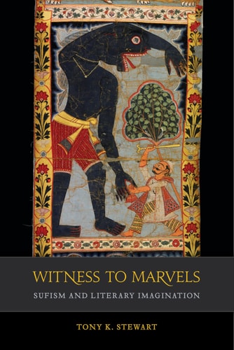 Witness to Marvels Sufism and Literary Imagination