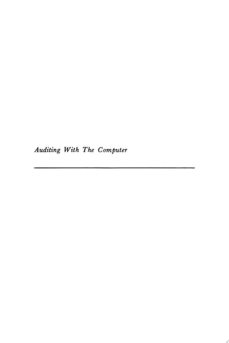 Auditing with the Computer