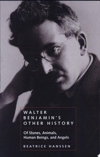 Walter Benjamin's Other History Of Stones, Animals, Human Beings, and Angels