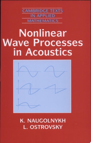 Nonlinear Wave Processes in Acoustics