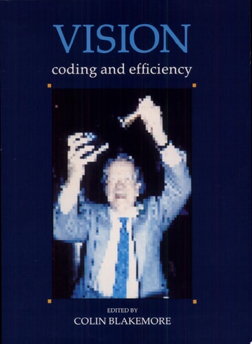 Vision Coding and Efficiency