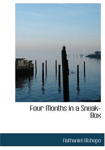 Four Months in a Sneak-Box (Large Print Edition)