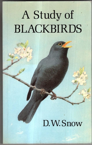A Study of Blackbirds