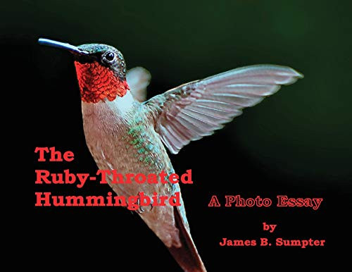 The Ruby-throated Hummingbird A Photo Essay