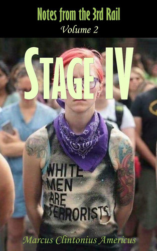 Notes from the 3rd Rail Stage IV