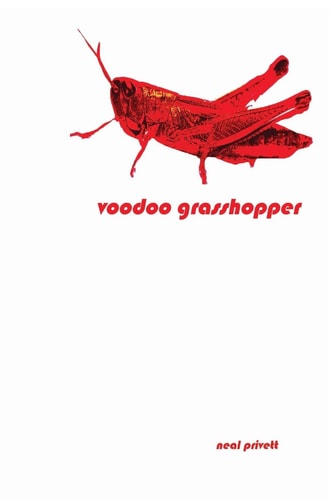 Voodoo Grasshopper Stories