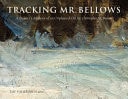 Tracking Mr. Bellows A Painter's Analysis of an Orphaned Oil