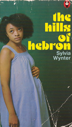 The Hills of Hebron (Drumbeat Novel)
