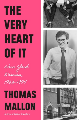 The Very Heart of It New York Diaries, 1983-1994