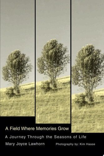 A Field Where Memories Grow A Journey Through the Seasons of Life