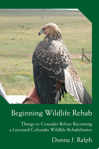 Beginning Wildlife Rehab Things to Consider Before Becoming a Licensed Colorado Wildlife Rehabilitator