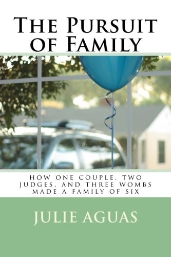 The Pursuit of Family How One Couple, Two Judges, and Three Wombs Made a Family of Six