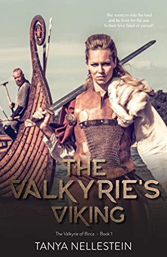 The Valkyrie's Viking - The Valkyrie of Birca Book 1