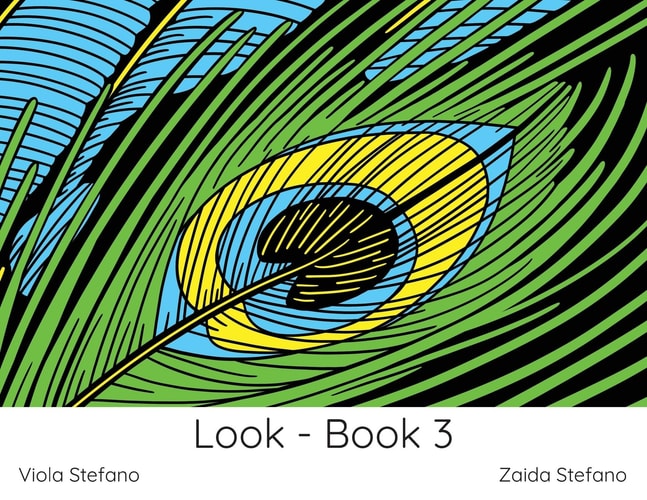 Look - Book 3 VI