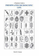A Beginners Guide to Freshwater Microscopic Life