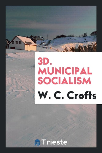 3D. Municipal Socialism