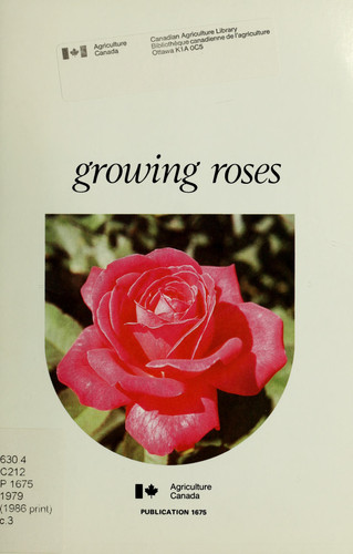 Growing Roses