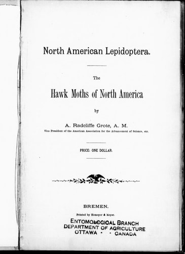 The hawk moths of North America