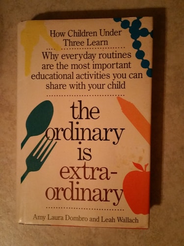 The Ordinary is Extraordinary How Children Under Three Learn