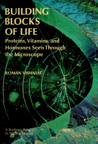 Building blocks of life; proteins, vitamins, and hormones: Seen through the microscope
