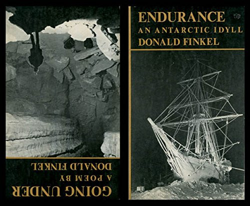 Endurance: An Antarctic idyll