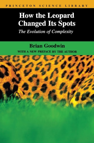 How the Leopard Changed Its Spots The Evolution of Complexity