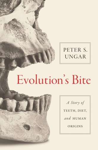 Evolution's Bite A Story of Teeth, Diet, and Human Origins