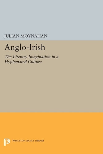 Anglo-Irish The Literary Imagination in a Hyphenated Culture