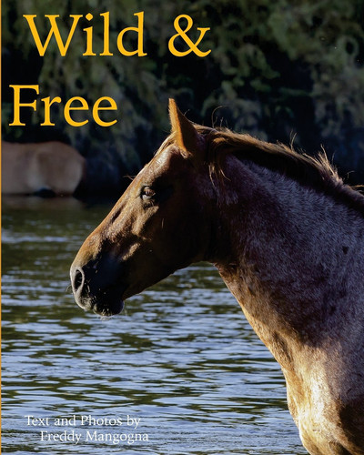 Wild & Free