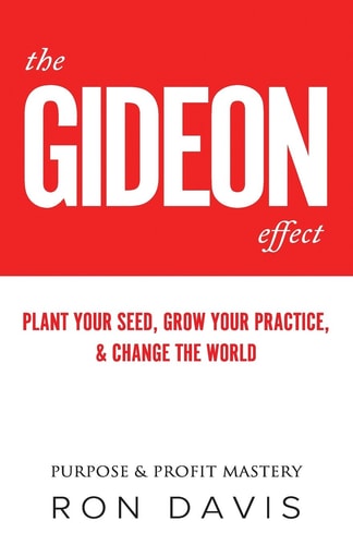 The Gideon Effect How to Build and Grow a Professional Services Practice FAST, Even If You're Outnumbered 450 To 1
