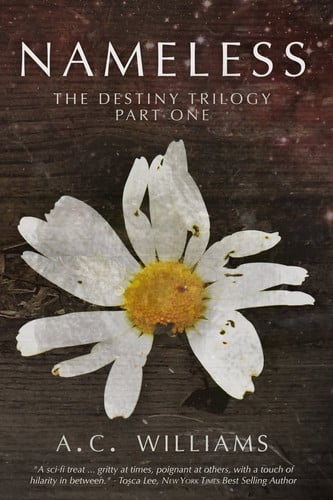 Nameless The Destiny Trilogy Part One