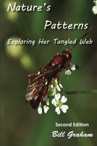 Nature's Patterns Exploring Her Tangled Web