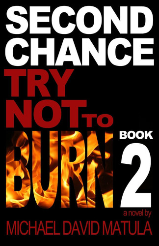 Second Chance Try Not to Burn, Book 2
