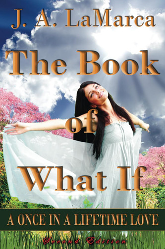 The Book of What If A Once in a Lifetime Love